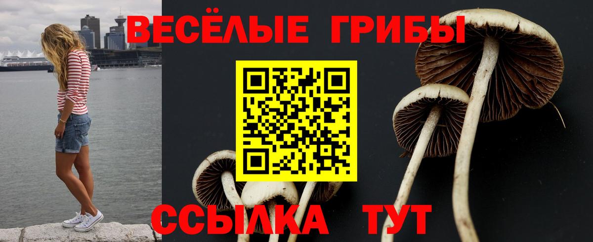 Коломна  Псилоцибиновые грибы Magic Shrooms  Псилоцибиновые грибы Psilocybe  даркнет сайт  Вход с VPN 